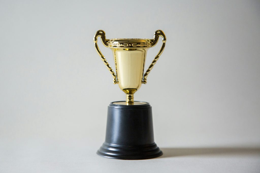 Premios Victoriayeb